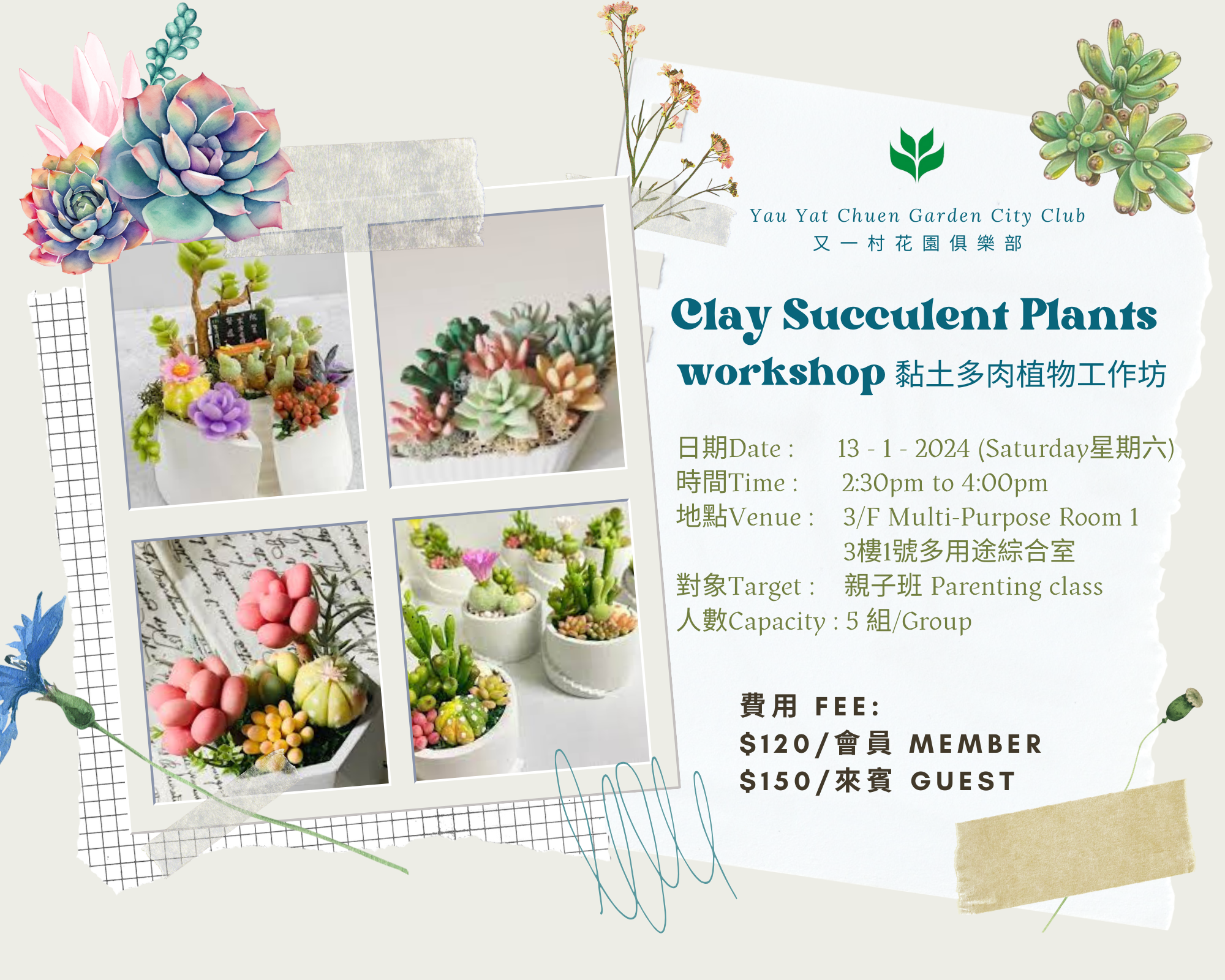 Clay Succulent Plants workshop